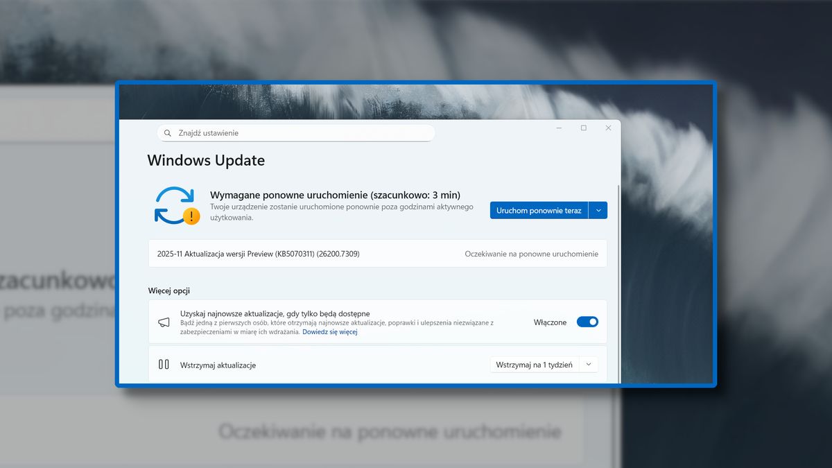 Aktualizacja w Windows 11