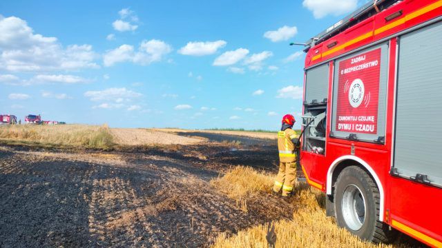 Niebezpieczne żniwa na terenie powiatu zamojskiego. Spłonął samochód, kierowca z poparzeniami (zdjęcia)