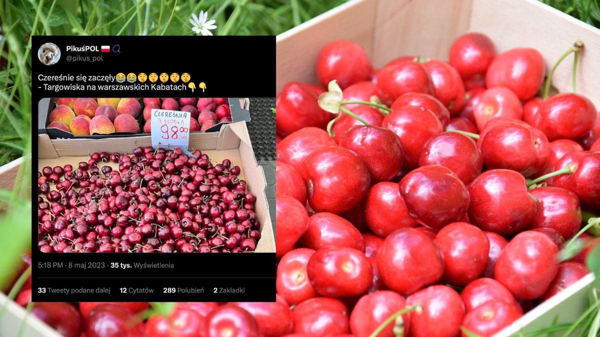 Zdjęcie ilustracyjne 