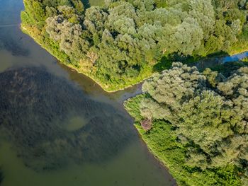 Przemyśl: Nowa atrakcja. Wieża w Ujkowicach zachwyca widokiem