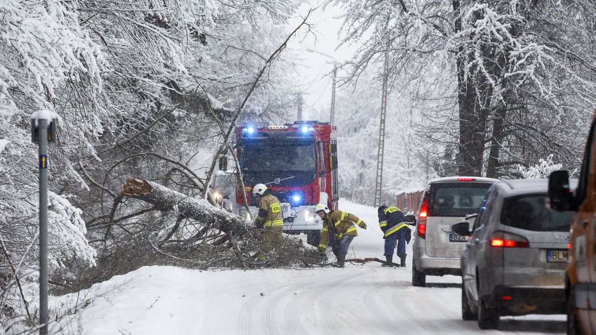 Bia?a zima wraca do Polski
3.1.2024 Drozdowo zima n/z strazacy usuwaja drzewo powalone przez nadmierny snieg   fot Marek Maliszewski/REPORTER
Marek Maliszewski/REPORTER