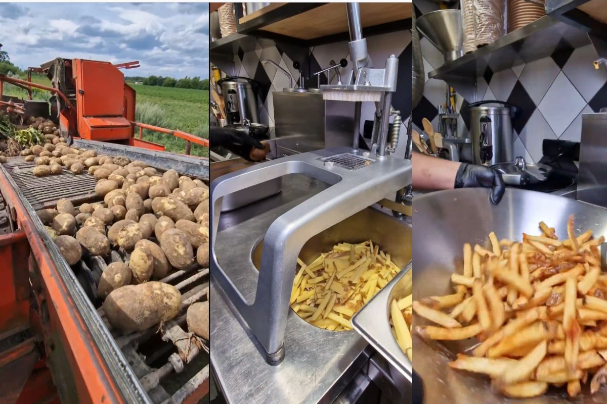 Frytki belgijskie