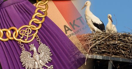 Zniszczyli bocianie gniazdo. Usłyszeli wyrok