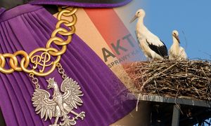 Zniszczyli bocianie gniazdo. Usłyszeli wyrok