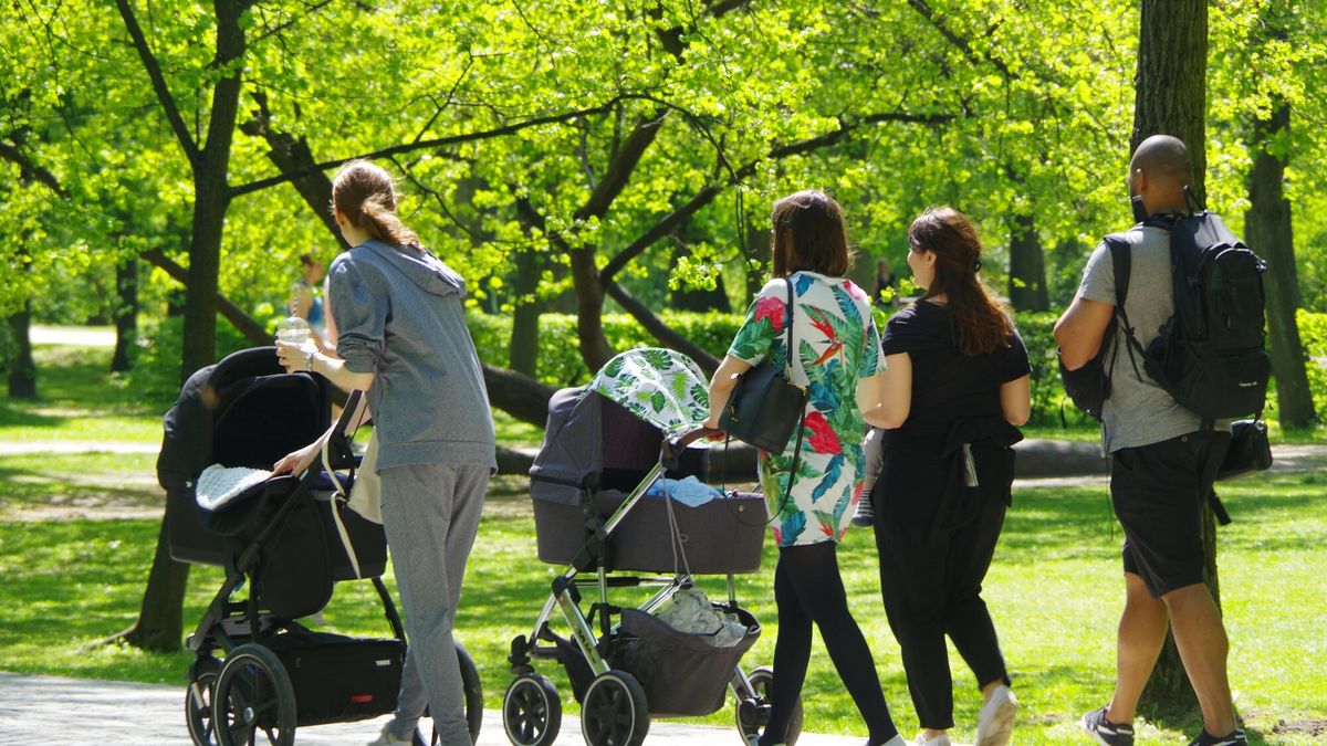 ZUS chce ograniczych wypłaty zasiłków opiekuńczych 