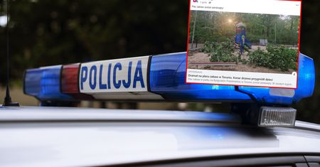 Drzewo przygniotło dzieci! Dramat na placu zabaw w Toruniu