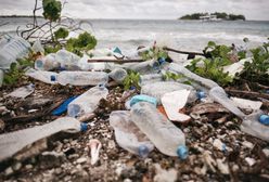 Mikroplastik wykryto w jądrach. Ma wpływ na płodność?