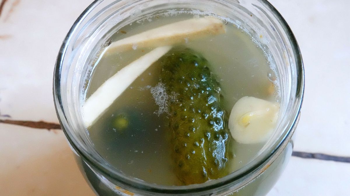 Wojtek Laski - r�?ne
Fot. Wojtek Laski / East News  Ogorek gruntowy kiszony malosolny, tradycyjny polski przysmak. Ogorki sa  kiszone z dodatkiem soli, czosnku, chrzanu i lodyg kopru.  N/z: ogorki w sloju po dwoch dniach kiszenia
Wojtek Laski