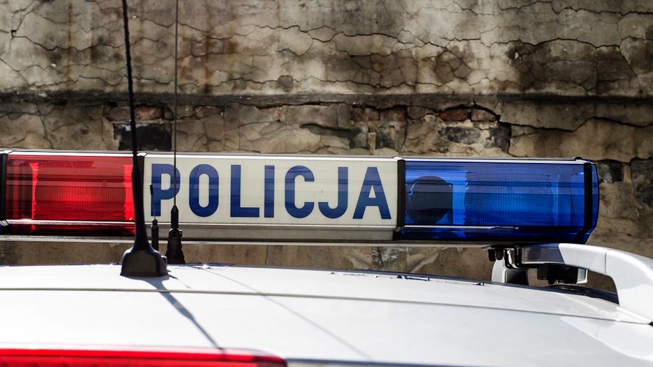 Dwóch 14-latków kopało i zabiło jeża