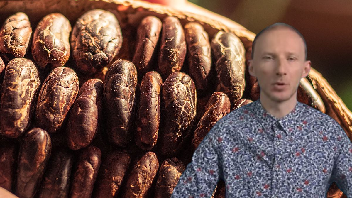 Dlaczego warto sięgać po kakao?