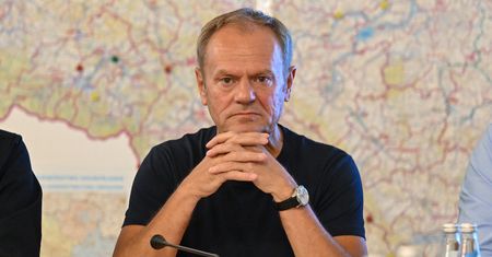 Słowa Tuska poszły w świat. Niemiecki przyrodnik poucza premiera