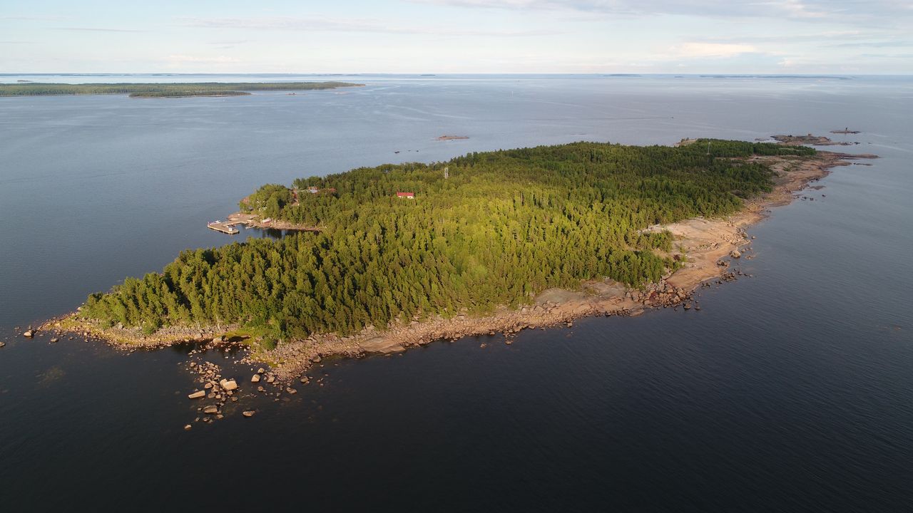 Kawałek Finlandii wystawiony na sprzedaż. Jest sporo zainteresowanych