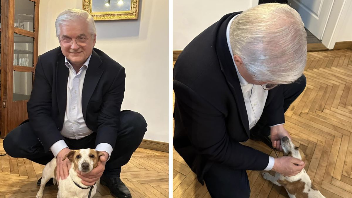 Były premier znalazł w lesie porzuconego pieska