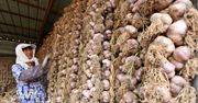 Czosnek za dom. W Chinach kwitnie handel barterowy