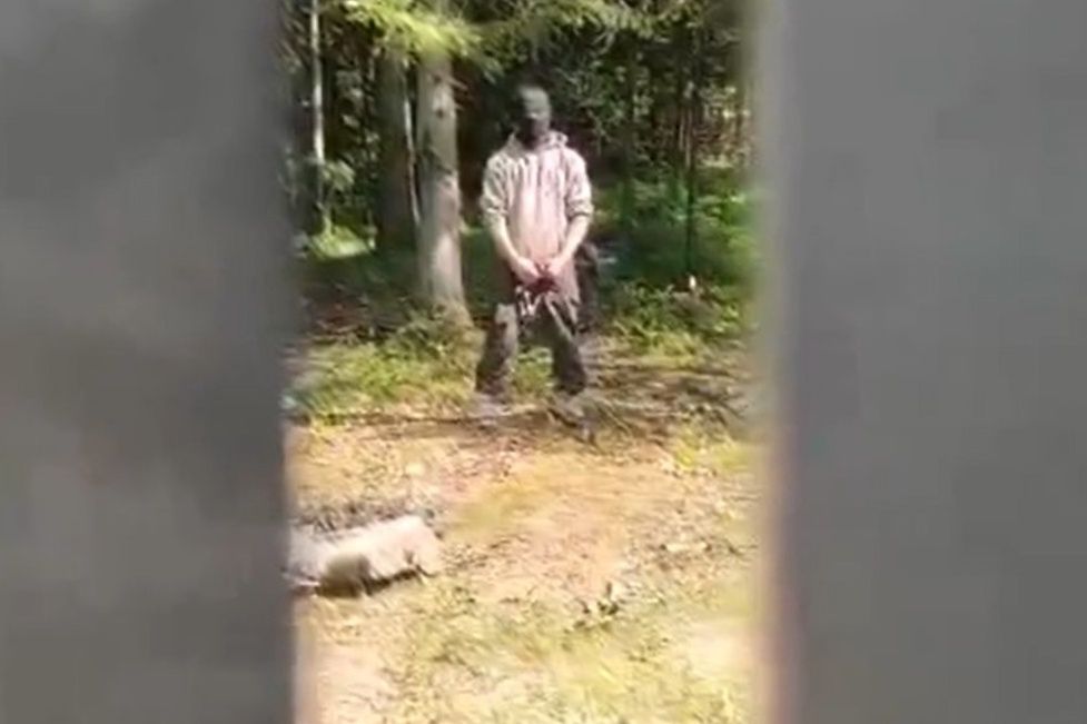 Migrant strzelał z procy do funkcjonariuszy SG