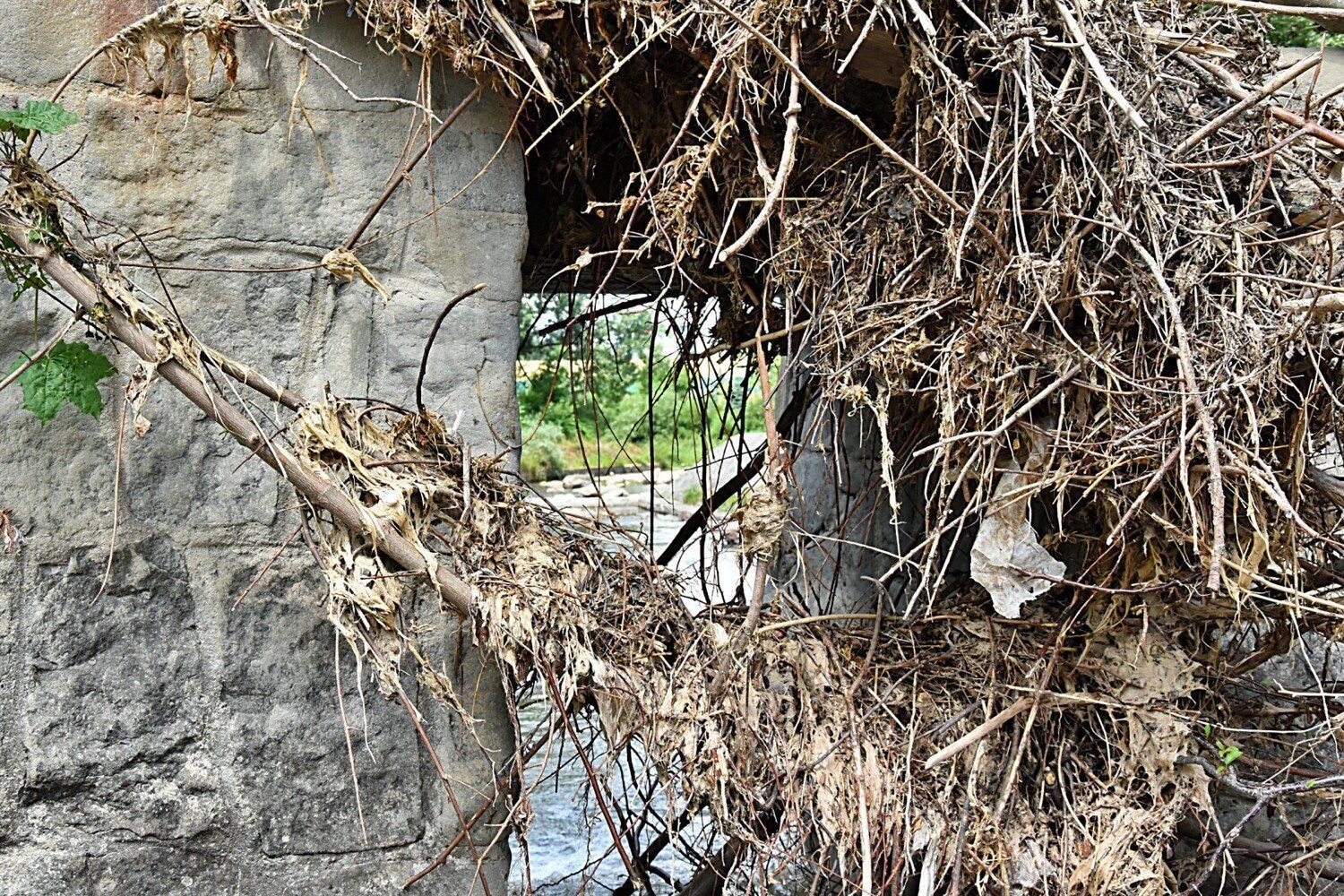 Dzisiaj &#34;okienka&#34; w progu wodnym są niemal całkowicie zatkane przez gałęzie. To zaś powoduje szybkie spiętrzanie się wody