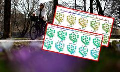 Wielkie tąpnięcie temperatury. IMGW ostrzega: nocami nawet -5 st. C