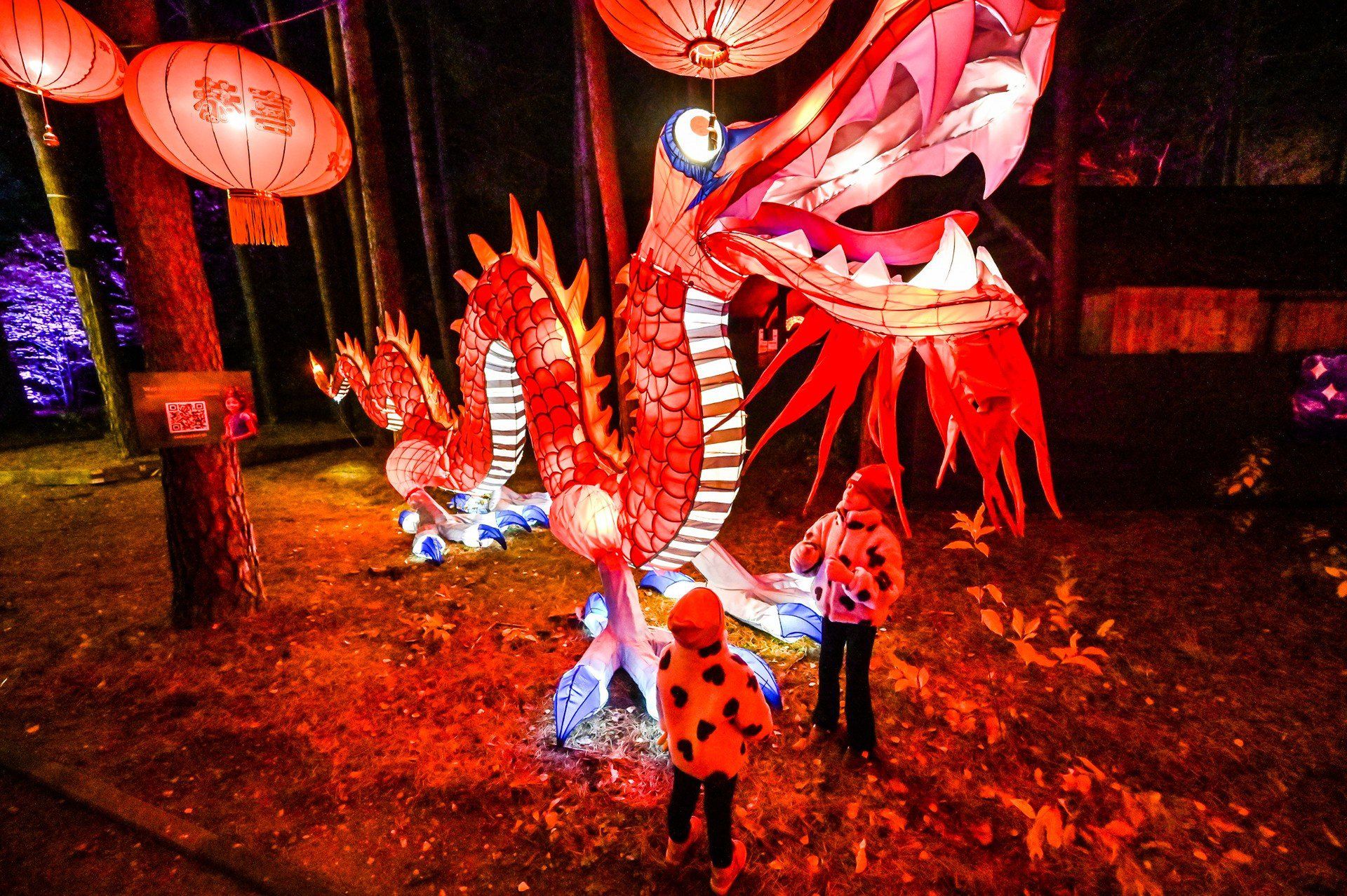 Motywem przewodnim jest Królestwo Zwierząt, ale na trasie nie brakuje również bajkowych stworzeń.