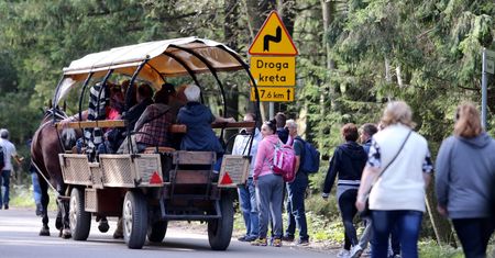 Tatry zamknięte dla elektrycznych hulajnóg. A mogły odciążyć konie w drodze do Morskiego Oka