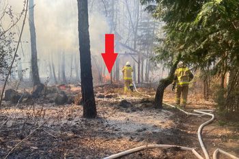 Dramat w lesie. Mężczyzna sam walczył z płomieniami
