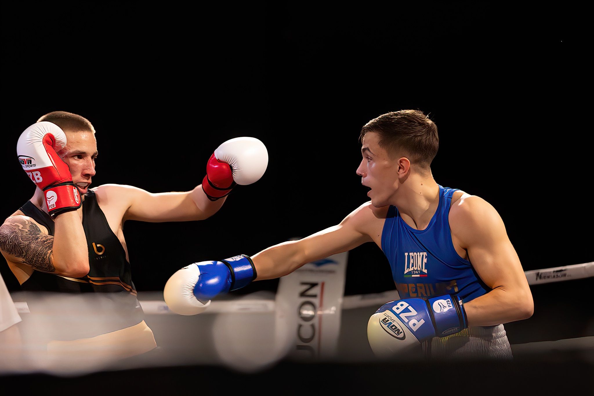 Polska Liga Boksu Pomorzanin Boxing Team - Imperium Wałbrzych