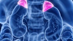 Nadnercza - hormony. Budowa, funkcje, choroby