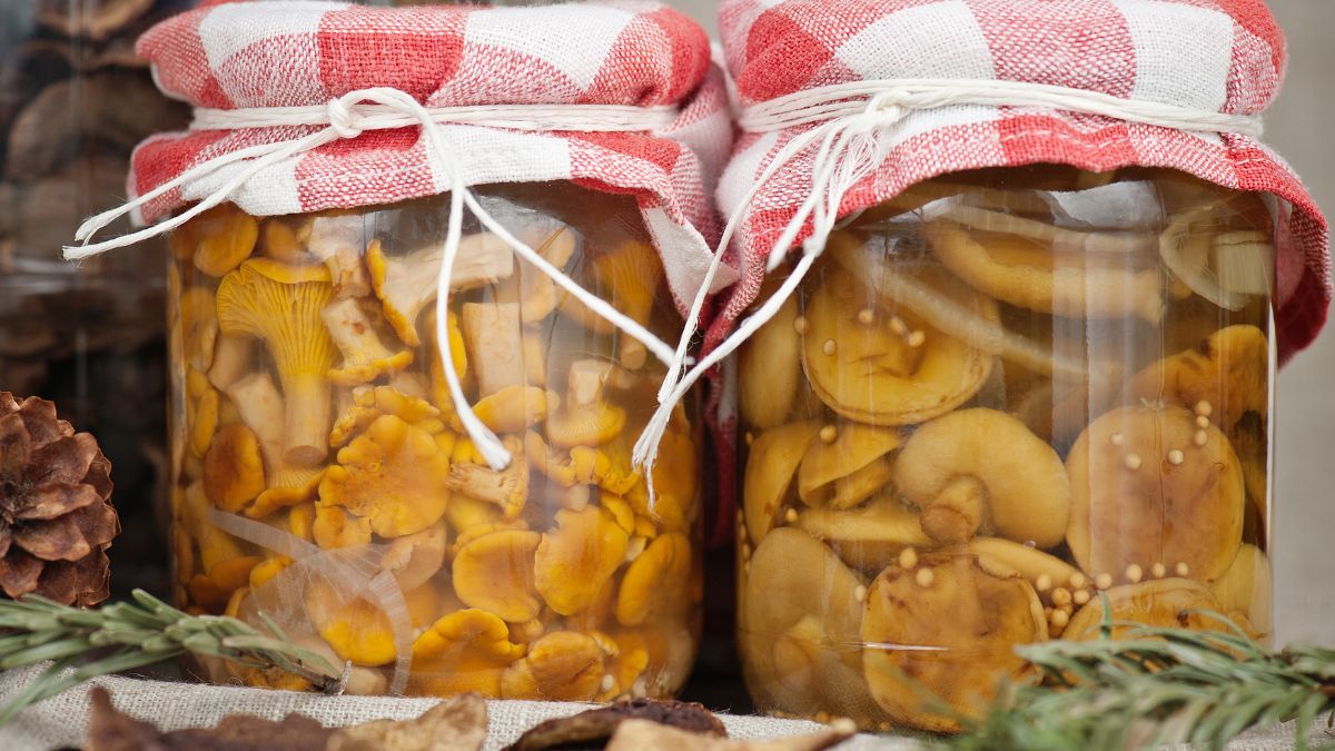Marynowane grzyby leśne