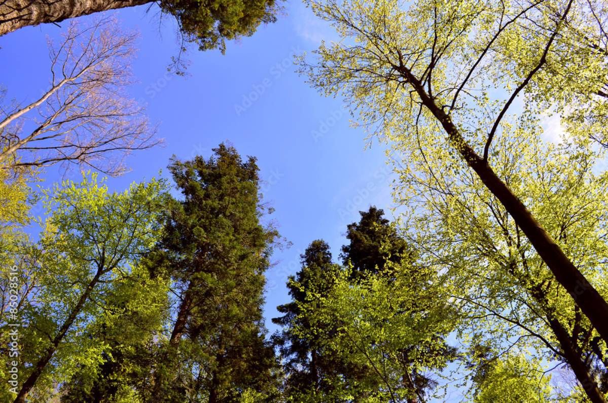 Park rozrywki inny niż wszystkie - kuchnie błotne i labirynty z drewna.