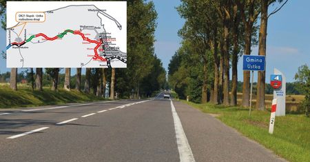 Rzeź drzew na Pomorzu. 13 kilometrów remontu drogi i 5 tys. do wycinki