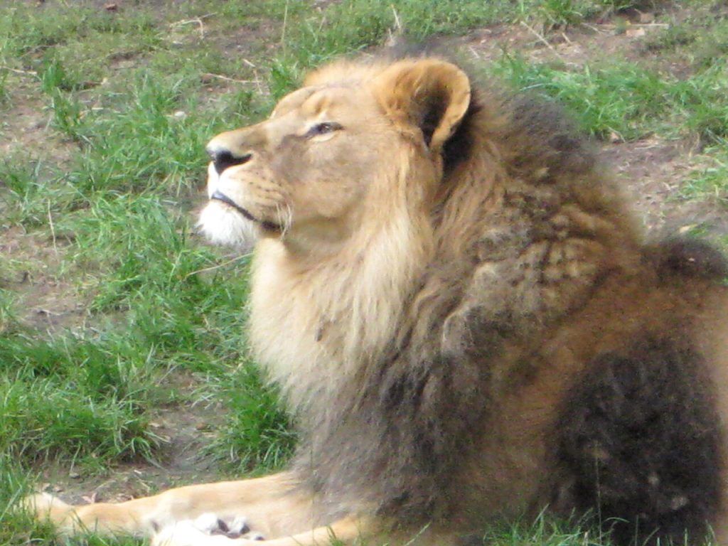 Śląski Ogród Zoologiczny w Chorzowie