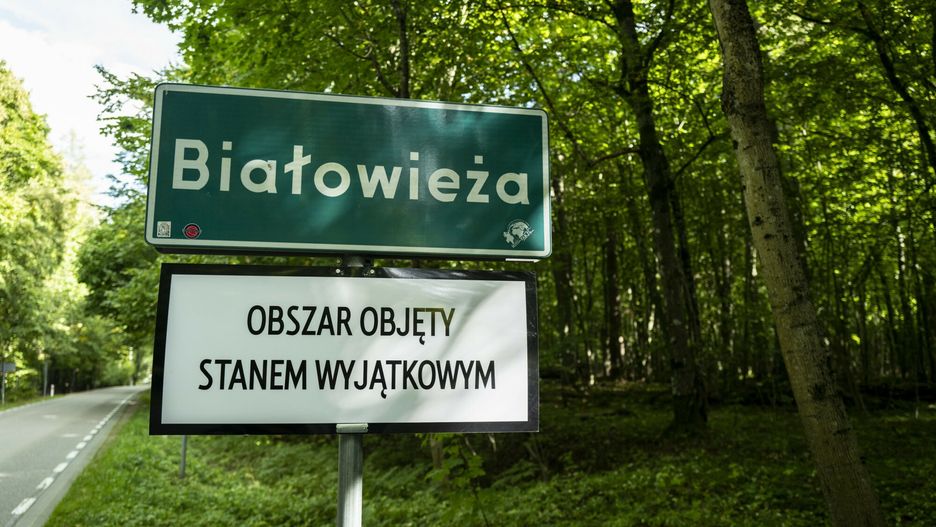 Senat chce odszkodowań za stan wyjątkowy dla większej grupy podmiotów 