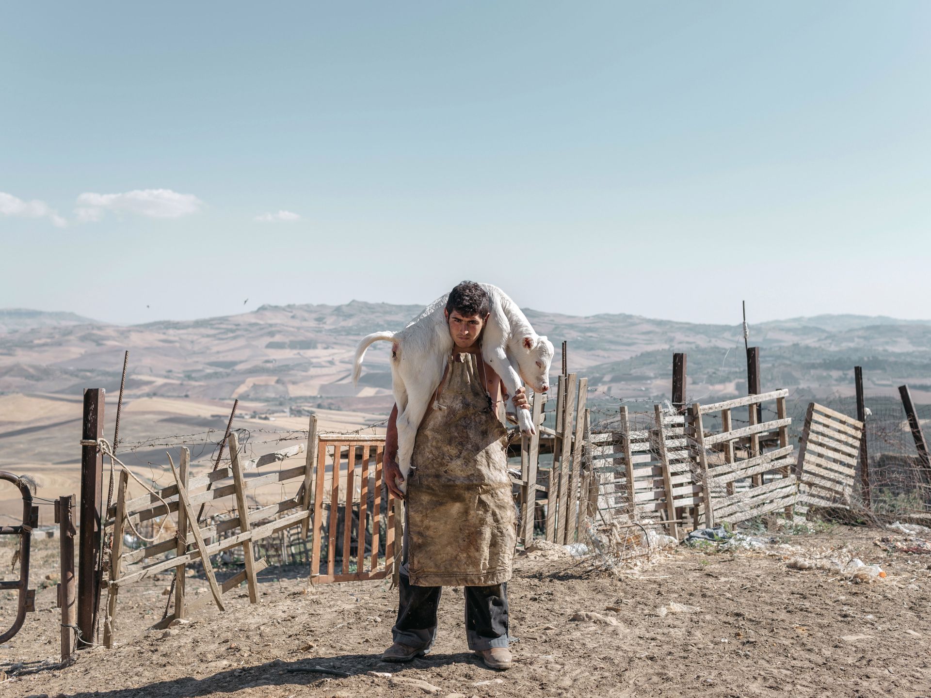 Znamy zwycięzców Sony World Photography Awards. Polak na III miejscu! 17