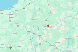 Na drogę wybiegło dzikie zwierzę. W aucie troje dzieci