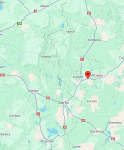 Na drogę wybiegło dzikie zwierzę. W aucie troje dzieci