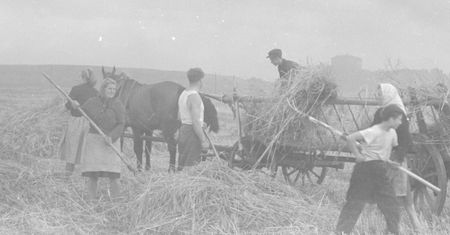 Krzyżówka historyczna. Co wiesz o pańszczyźnie?