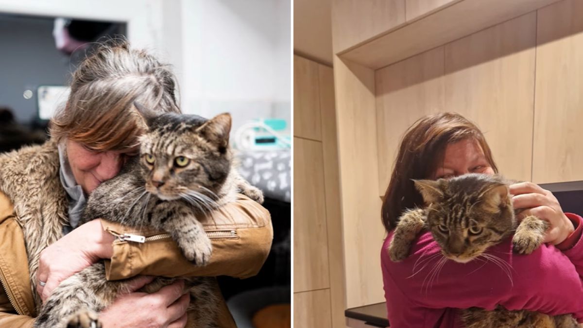 Pani Halina rozpoczęła nowe życie. Razem z Psotkiem