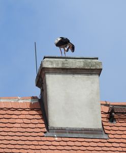 Warszawa. Do likwidacji zostało tysiąc kopciuchów w mieszkaniach komunalnych