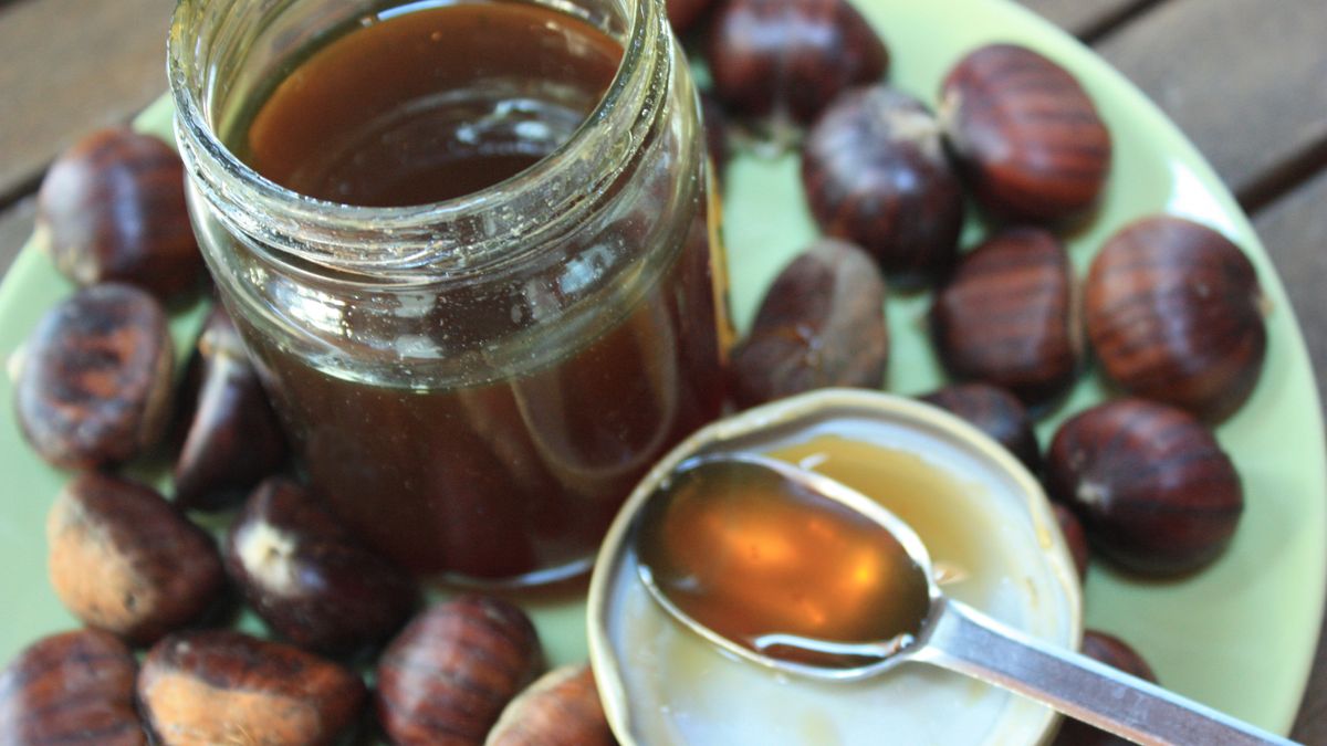 Kasztany mają wiele właściwości prozdrowotnych