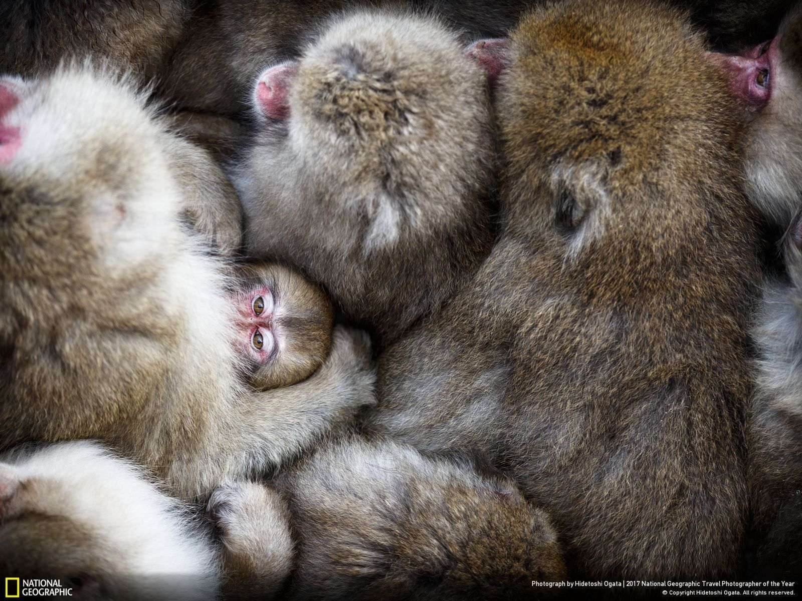 Nabór do konkursu National Geographic Travel Photographer od the Year 2017 rozpoczęty. Oto najlepsze prace z dotychczas zgłoszonych 14