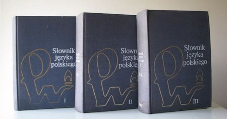 Wiesz, co oznaczają te słowa? Tylko mistrz odpowie na wszystkie pytania!