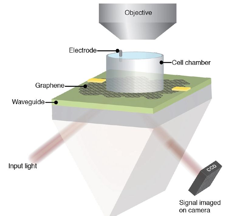 Budowa kamery grafenowej.