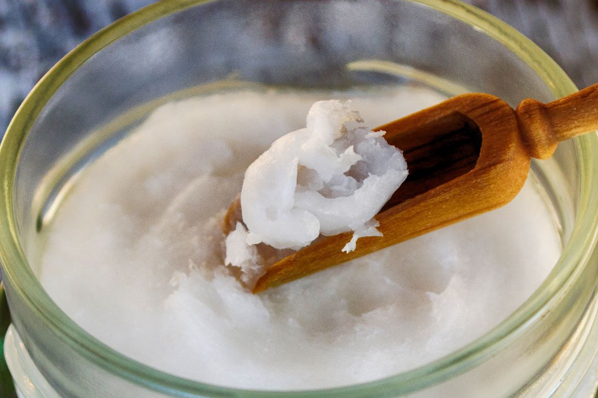 Coconut oil: Your kitchen's secret weapon against ticks