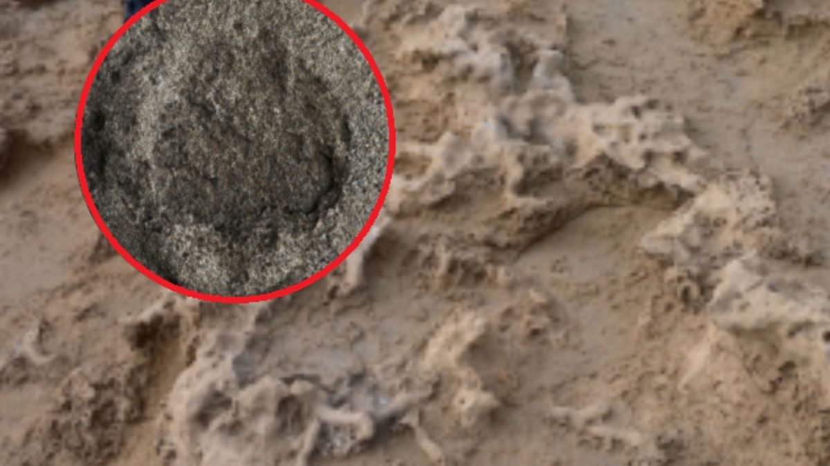 Zaskakujące odkrycie archeologów