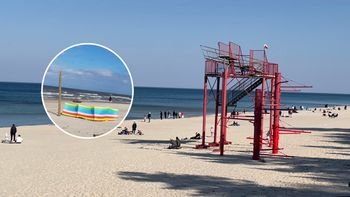 Pojawiły się na plażach. To pierwsza oznaka końca zimy