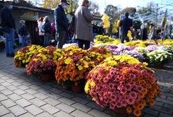 Niedziele handlowe listopad 2020. Sklepy otwarte 1 listopada? Gdzie zrobić zakupy we Wszystkich Świętych?