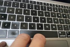 Rosyjscy hakerzy w systemach holenderskiej prokuratury? Mieli sporo czasu