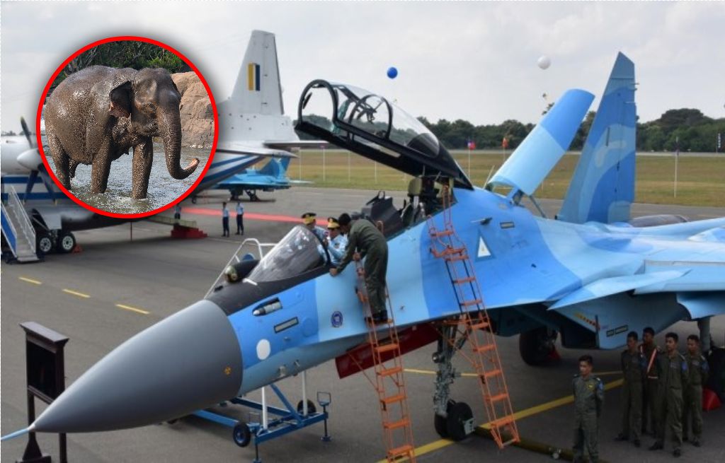 Elephants for jets: Unusual diplomacy between Russia and Myanmar