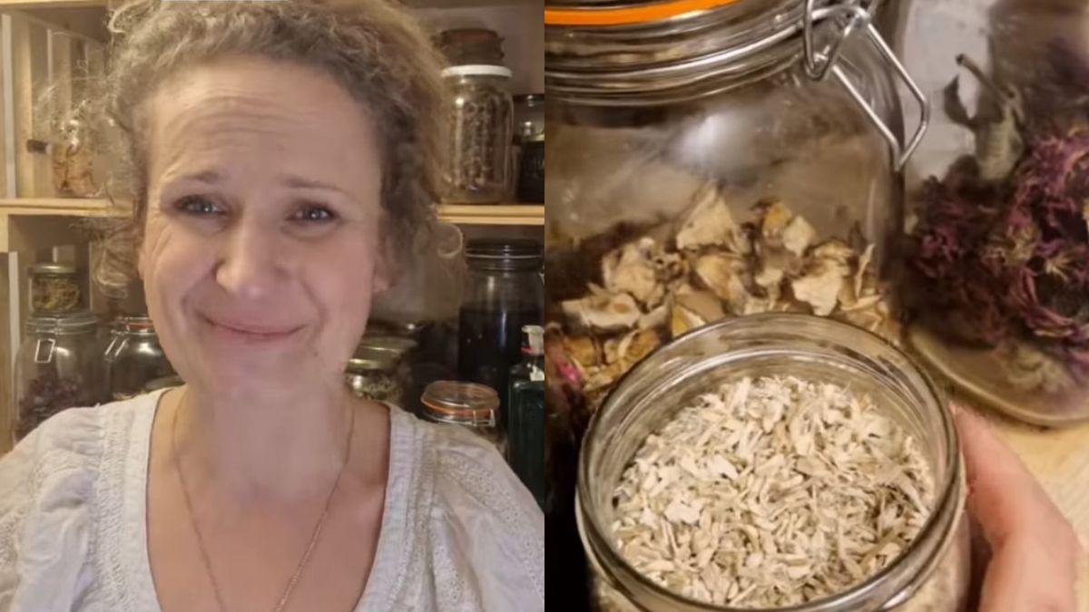 To tanie zioło działa jak aspiryna. Dodatkowo oczyszcza organizm