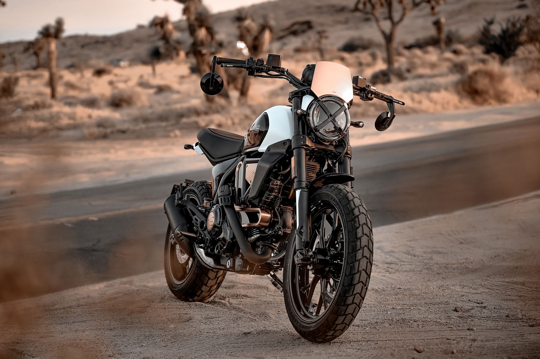 Ducati Scrambler Rizoma