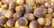 Opóźnia starzenie i wzmacnia odporność. Dawniej symbol biedy, dziś superfood